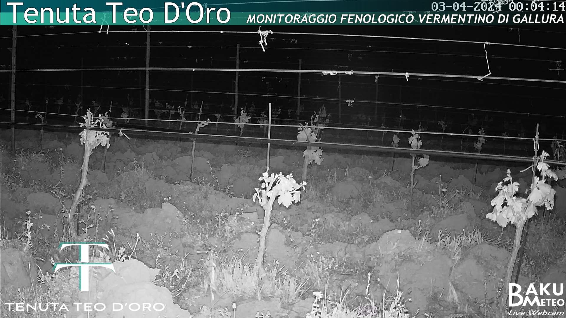 time-lapse frame, Teodoro webcam