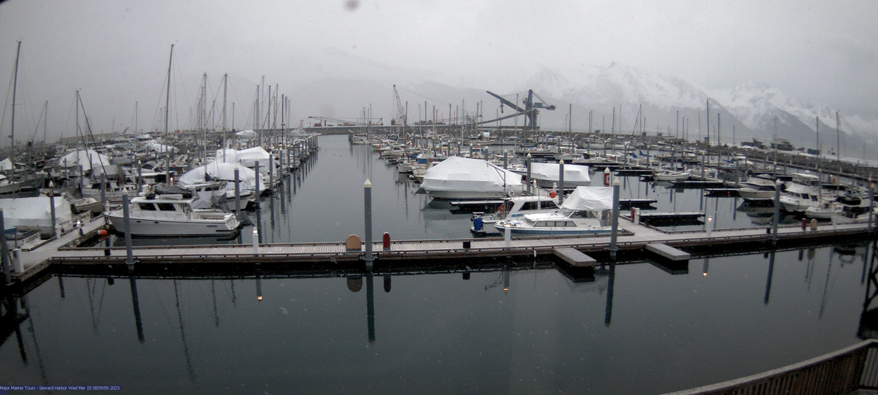 time-lapse frame, Seward Harbor webcam
