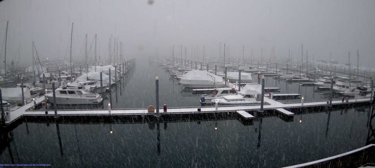 time-lapse frame, Seward Harbor webcam