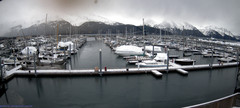 view from Seward Harbor on 2024-03-11