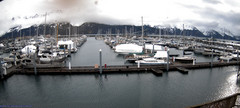 view from Seward Harbor on 2024-03-23