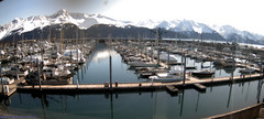 view from Seward Harbor on 2024-04-15