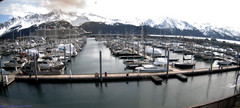 view from Seward Harbor on 2024-04-25