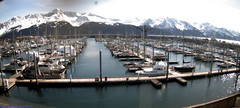 view from Seward Harbor on 2024-04-28
