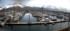 view from Seward Harbor on 2024-04-29