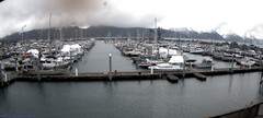 view from Seward Harbor on 2024-05-04