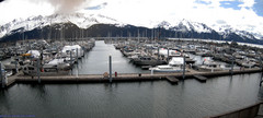 view from Seward Harbor on 2024-05-19
