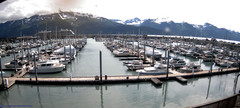 view from Seward Harbor on 2024-07-23