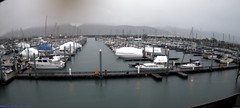 view from Seward Harbor on 2024-12-09