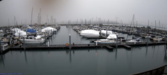 view from Seward Harbor on 2024-12-12