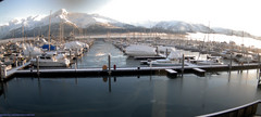 view from Seward Harbor on 2024-12-13