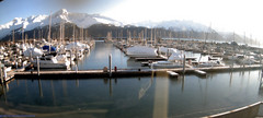 view from Seward Harbor on 2025-01-28