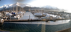 view from Seward Harbor on 2025-01-30