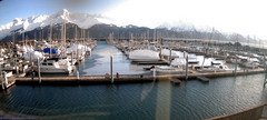 view from Seward Harbor on 2025-01-31