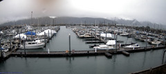 view from Seward Harbor on 2025-04-29