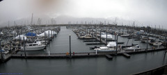 view from Seward Harbor on 2025-04-30