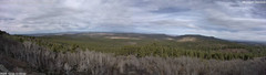 view from Mt Logan on 2024-12-12