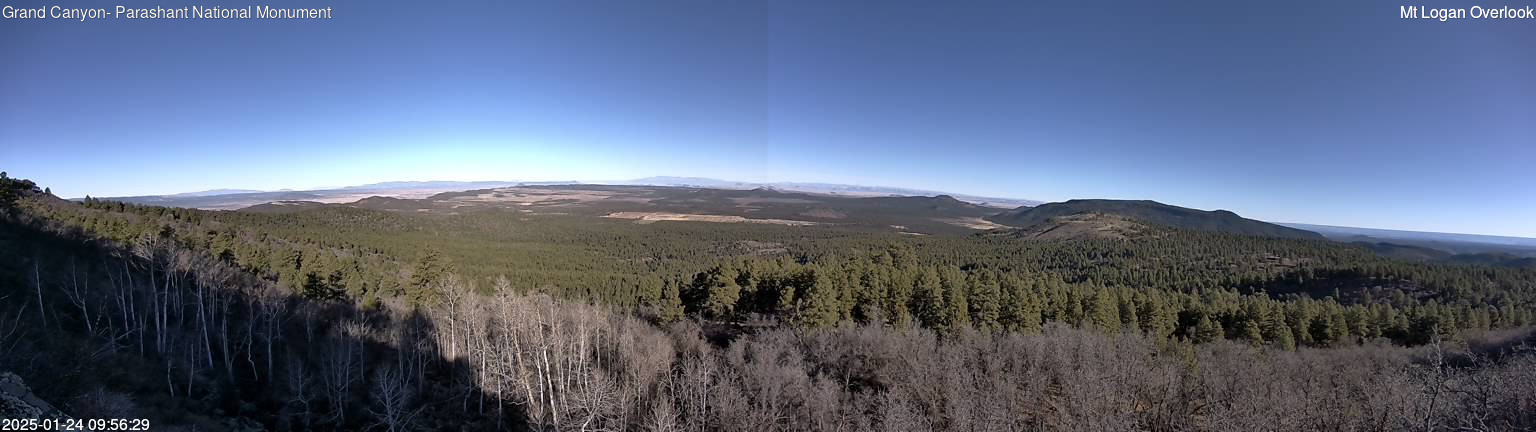 time-lapse frame, Mt Logan webcam