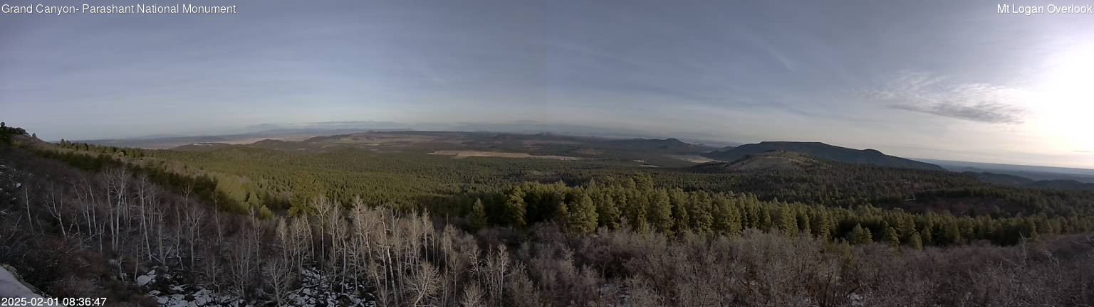 time-lapse frame, Mt Logan webcam