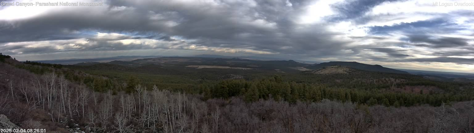 time-lapse frame, Mt Logan webcam