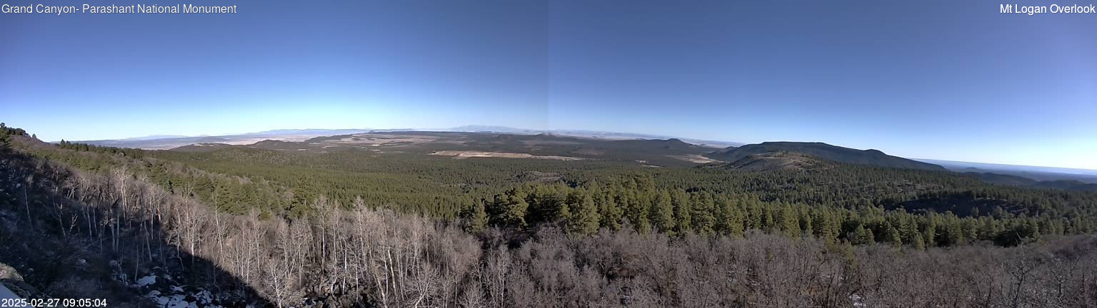 time-lapse frame, Mt Logan webcam