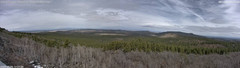 view from Mt Logan on 2025-03-05