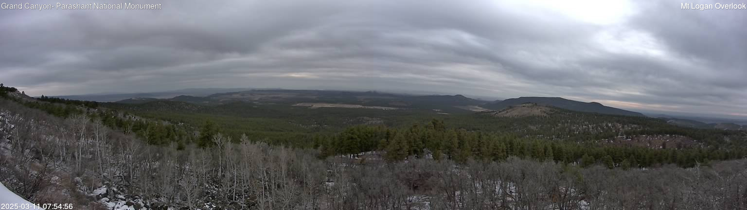 time-lapse frame, Mt Logan webcam