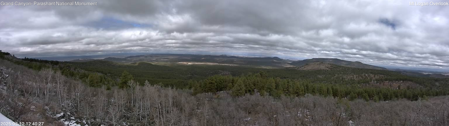 time-lapse frame, Mt Logan webcam