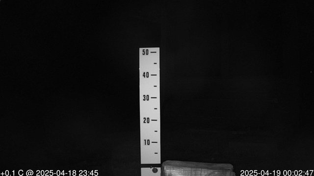 time-lapse frame, snowstump webcam
